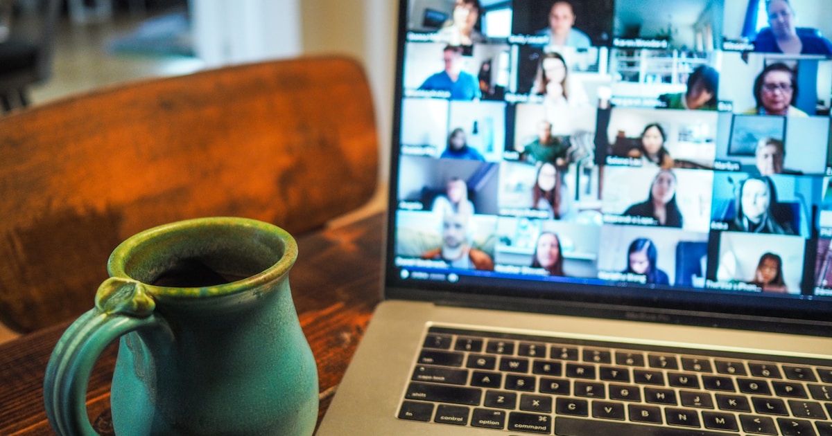 Person working remotely from home office setup with laptop and plants